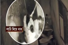 জমি নিয়ে ২ প্রতিবেশীর চরম বিবাদ,হাওড়ায় প্রতিবেশীর গায়ে গরম ফ্যান ঢালল অভিযুক্ত জমি নিয়ে ২ প্রতিবেশীর চরম বিবাদ,হাওড়ায় প্রতিবেশীর গায়ে গরম ফ্যান ঢালল অভিযুক্ত