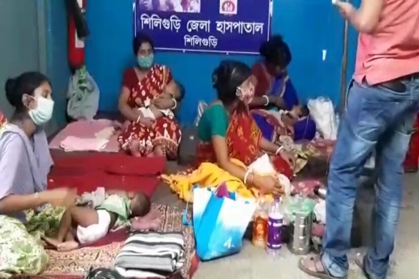 তার মধ্যে ৭ জনের ডেঙ্গি এবং ৬ জন শিশুর শরীরে স্ক্রাব টাইফাসের জীবাণু মিলেছে। আজ একথা জানান উত্তরবঙ্গ মেডিকেলের অধ্যক্ষ ইন্দ্রজিৎ সাহা। যা উদ্বেগ বাড়িয়েছে অভিভাবকদের।