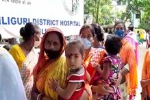 Viral Fever | North Bengal News : ভাইরাল ফিভারের উৎস সন্ধানে বিশেষজ্ঞরা, উত্তরবঙ্গে শিশু শরীরে ডেঙ্গির জীবাণুতে বাড়ছে চিন্তা... Viral Fever | North Bengal News : ভাইরাল ফিভারের উৎস সন্ধানে বিশেষজ্ঞরা, উত্তরবঙ্গে শিশু শরীরে ডেঙ্গির জীবাণুতে বাড়ছে চিন্তা...