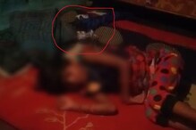 দু’ঘণ্টা গলায় জড়িয়ে বসে কিং কোবরা ! ওই অবস্থাতেই শুয়ে থাকল ৬ বছরের শিশু দু’ঘণ্টা গলায় জড়িয়ে বসে কিং কোবরা ! ওই অবস্থাতেই শুয়ে থাকল ৬ বছরের শিশু