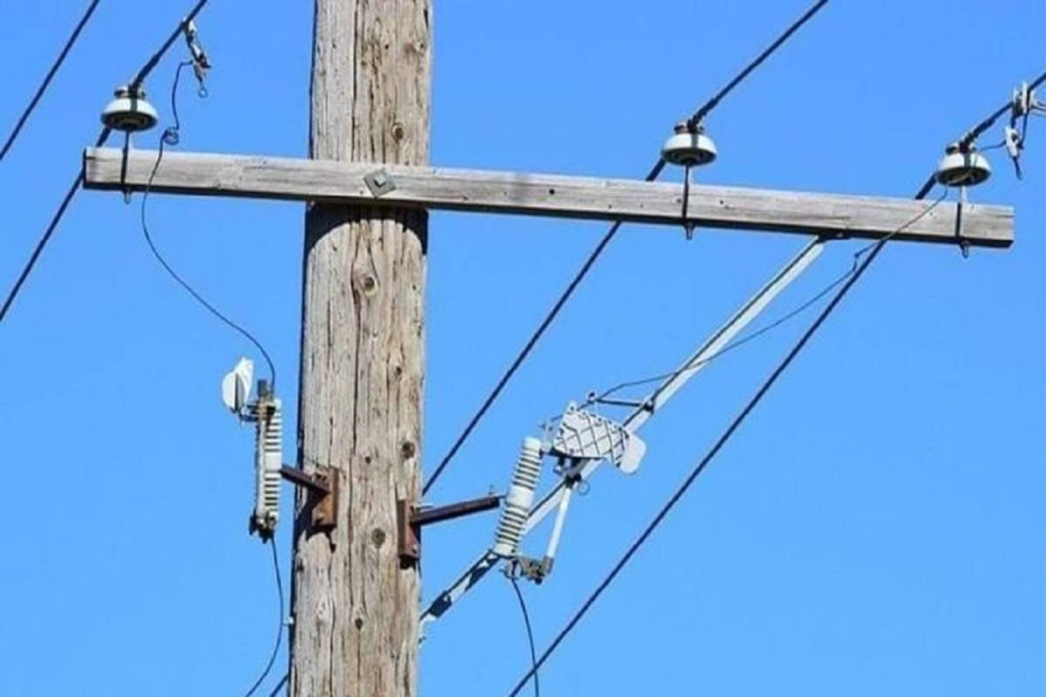 Bangla News | Accident: ১১০০০ ভোল্ট! চলন্ত গাড়ির মধ্যে বিদ্যুৎপৃষ্ট চালক! বাঁচতে যা করলেন, অভাবনীয়...