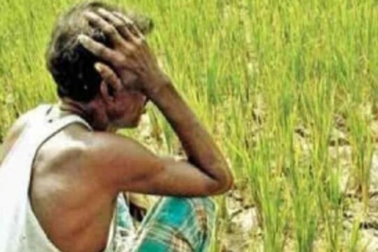 বাংলার কৃষকদের বঞ্চনা কেন?