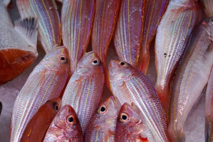 ফ্যাটি ফিশ (Fatty Fish) এটি কিছু গুরুত্বপূর্ণ হার্টের রোগ কমাতে সাহায্য করে করে। স্যামন (Salmon), টুনা (Tuna), ট্রাউট (Trout) এই ধরনের ফ্যাটি ফিশ হার্টের পক্ষে খুবই উপকারী। এর মধ্যে রয়েছে ওমেগা-৩ ফ্যাটি অ্যাসিড (Omega-3 Fatty Acid)।