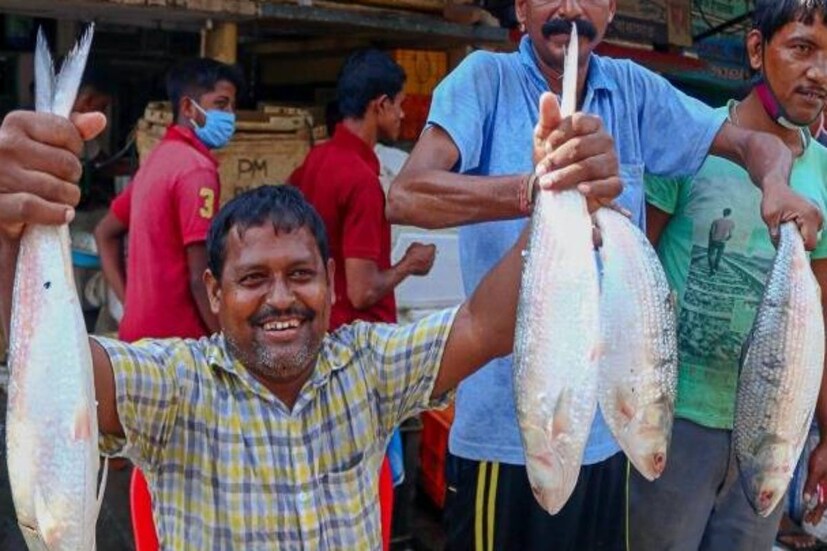 গত কয়েকদিনে দুর্যোগপূর্ণ আবহাওয়ার পাশাপাশি টানা বৃষ্টি থাকায় মেঘনা ও সাগর মোহনায় ইলিশ বিচরণের পরিবেশ সৃষ্টি হয়েছে বলেও জানান জেলেরা। আর এ কারণে ঝাঁকের ইলিশ উঠে আসছে। ওদিকে ঝাঁকে ঝাঁকে ইলিশ জালে ওঠায় দামও কমছে মৎস্যরাজের। সবমিলিয়ে হাসি ফুটছে জেলে ও ইলিশপ্রেমীদের মুখে।