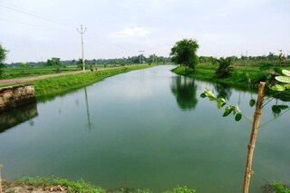 পুজোর ভিড় এড়িয়ে নিরালা সবুজে সময় কাটান, আহার সারুন! কলকাতার কাছেই নলবুনিতে বেড়িয়ে আসুন