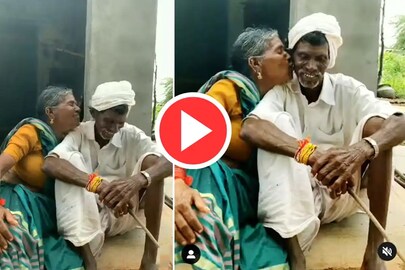 ভাইরাল ভিডিও। সংগৃহীত ছবি। 