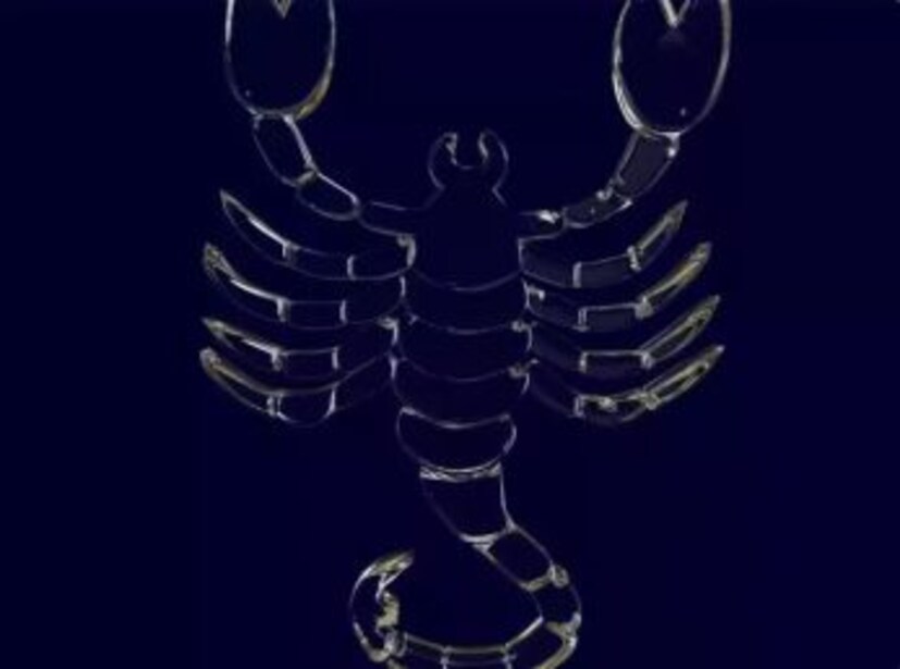 বৃশ্চিক (Scorpio): অক্টোবর ২৩ থেকে নভেম্বর ২১  বৃশ্চিক রাশির জাতক-জাতিকারা একটু চাপা স্বভাবের হয়। সেই সঙ্গে এরা মনের মধ্যে রাগও পুষে রাখতে পারে। যদি কেউ এদের সঙ্গে ঝামেলায় জড়ায়, তা হলে তার অবস্থা খারাপ হয়ে যায়। কারণ বৃশ্চিক রাশির জাতক-জাতিকারা পিছন দিক থেকে আক্রমণ করতেও পিছ-পা হয় না। আর এর থেকেই বোঝা যায়, এরা নিজেদের স্বার্থে পরিস্থিতি এ-দিক ও-দিক করে দিতে পারে। কখনও কখনও সকলকে নিজেদের পক্ষে আনতে এই রাশির জাতক-জাতিকারা সর্বসমক্ষে দাবি করে যে, এরা কোনও পরিস্থিতির শিকার হয়েছে। এ ভাবে খেলা ঘুরিয়ে তারা মানুষের সহানুভূতি টানতে সক্ষম।
