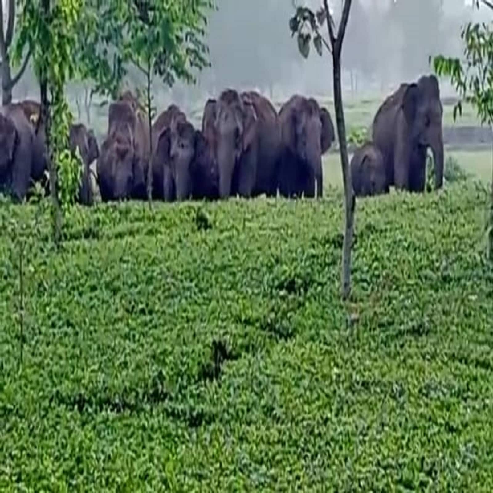 ছবি-- রকি চৌধুরী।