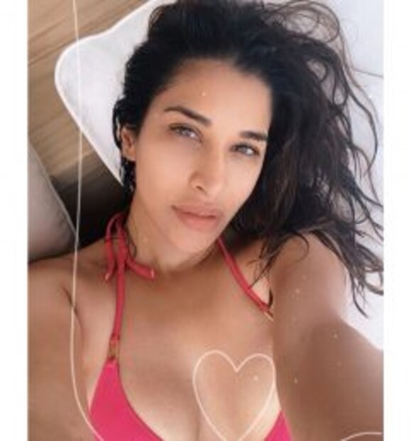 গোলাপি বিকিনিতে (Sophie Choudry in Bikini) দেখা যাচ্ছে সোফির বক্ষবিভাজিকা, নজরকাড়া লুক। 