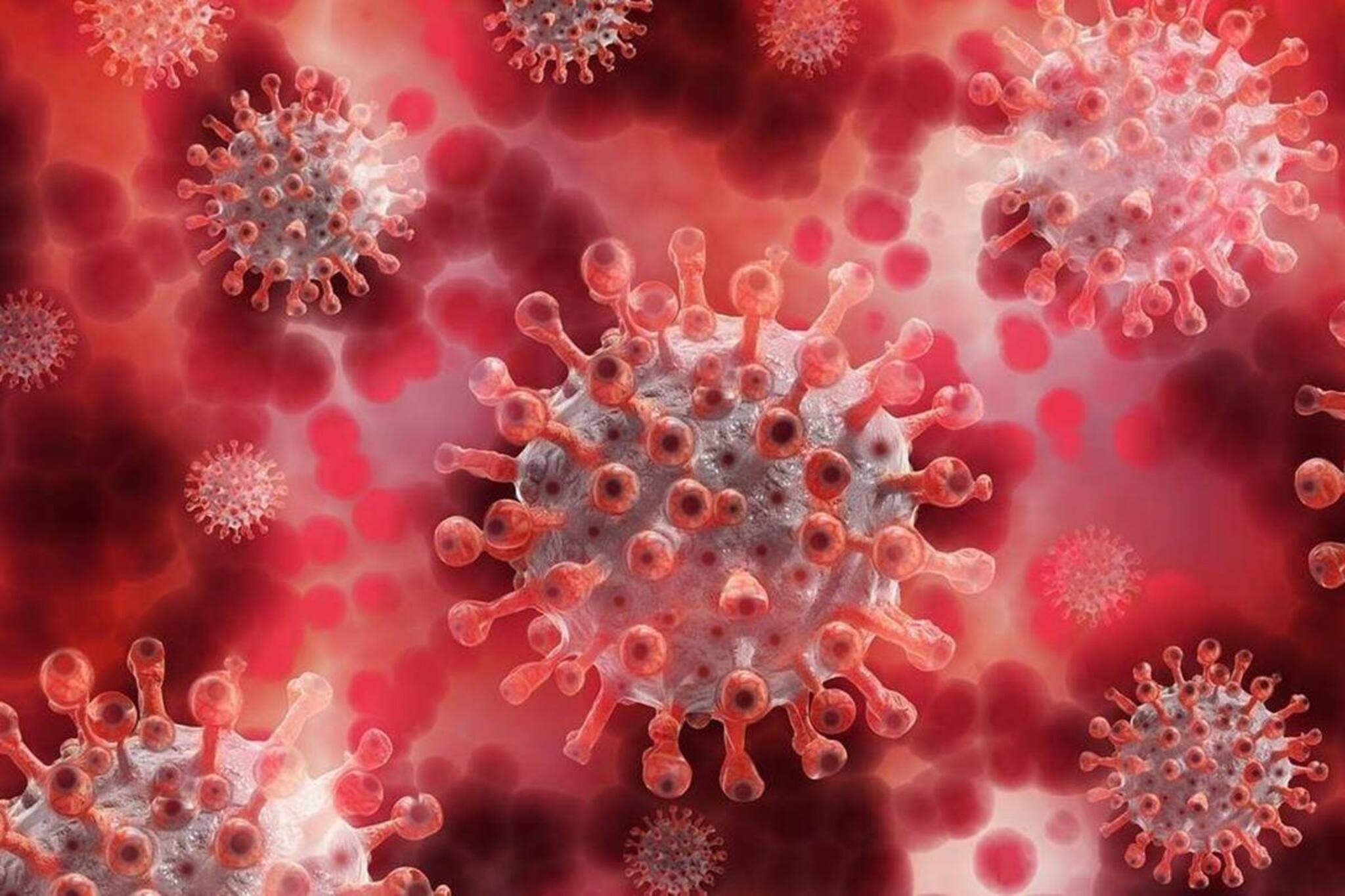 Coronavirus| Durga puja 2021:পুজোর মুখে সংক্রমণ বৃদ্ধির আশঙ্কা: করোনা মোকাবিলায় কী কী পদক্ষেপ করছে সরকার?