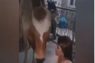 photo source you tube 