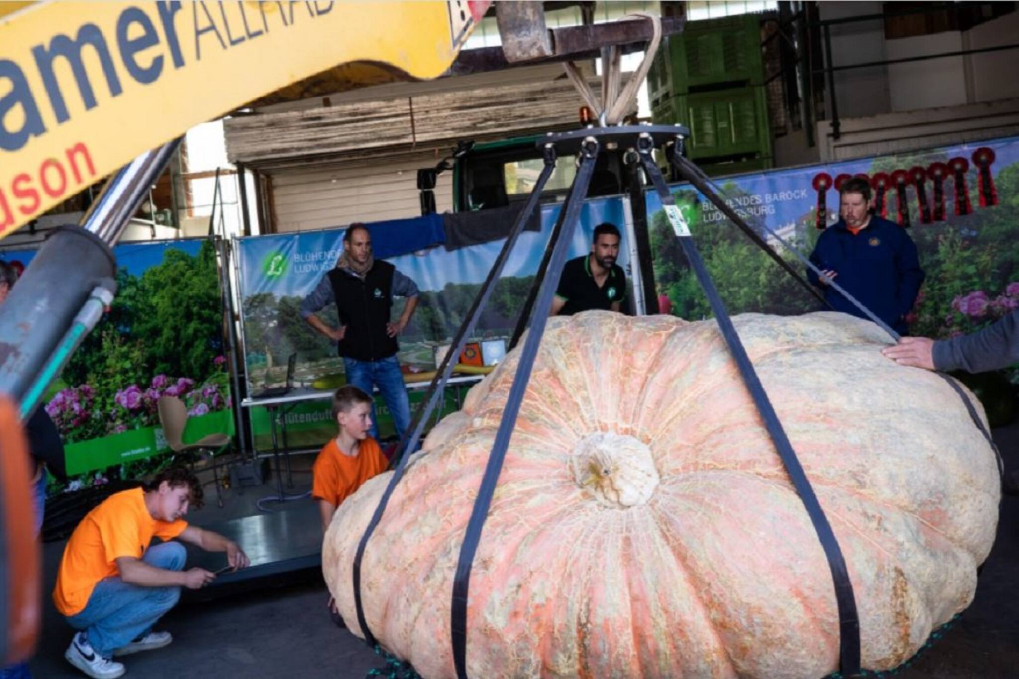 কুমড়ো নাকি দৈত্য ! পেটে ধরে যাবে গোটা মানুষ ! ওজন শুনলে চমকে যাবেন