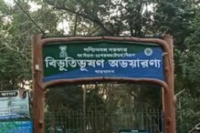 পুজোর ছুটিতে ঘুরে আসুন বনগাঁ বিভূতিভূষণ অভয়ারণ্যে পুজোর ছুটিতে ঘুরে আসুন বনগাঁ বিভূতিভূষণ অভয়ারণ্যে