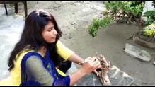 নিজের বানানো দুর্গা প্রতিমা উপহার দিতে চান মুখ্যমন্ত্রীকে নিজের বানানো দুর্গা প্রতিমা উপহার দিতে চান মুখ্যমন্ত্রীকে