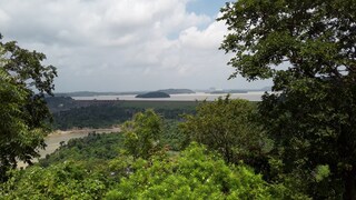 প্রাকৃতিক সৌন্দর্যে ভরা ভান্ডার পাহাড়ের হিলটপ ভিউ।