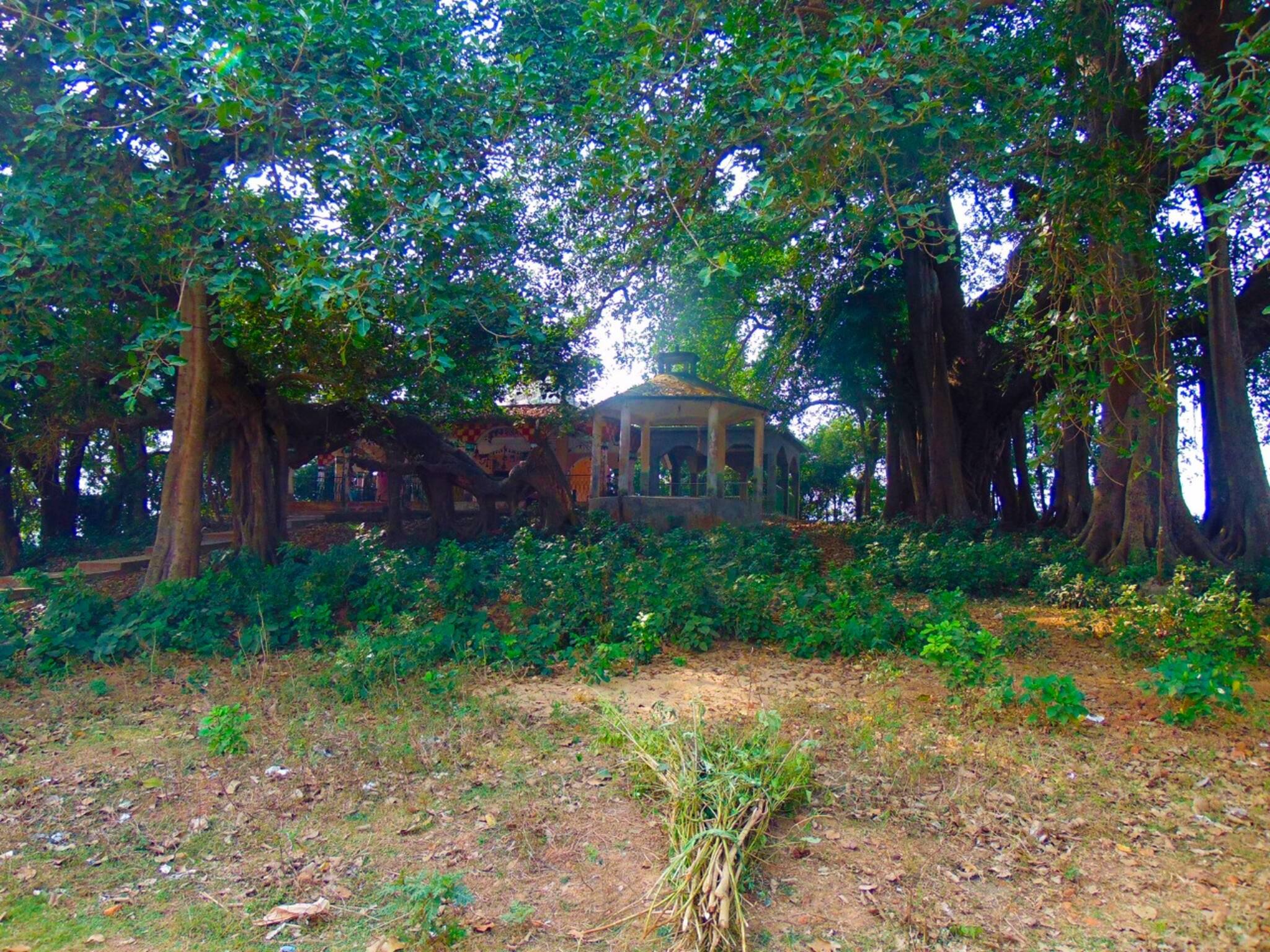 ঘুরে আসুন চাঁদ সওদাগরের চম্পকনগর