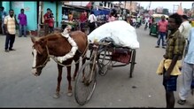 রিকশার সঙ্গে ঘোড়াকে বেঁধে নয়া এক্কাগাড়ি ! তাক লাগালেন ফিরোজ রিকশার সঙ্গে ঘোড়াকে বেঁধে নয়া এক্কাগাড়ি ! তাক লাগালেন ফিরোজ