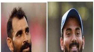 কে এল রাহুল এবং শামির ওপর বাজি ধরছেন লি