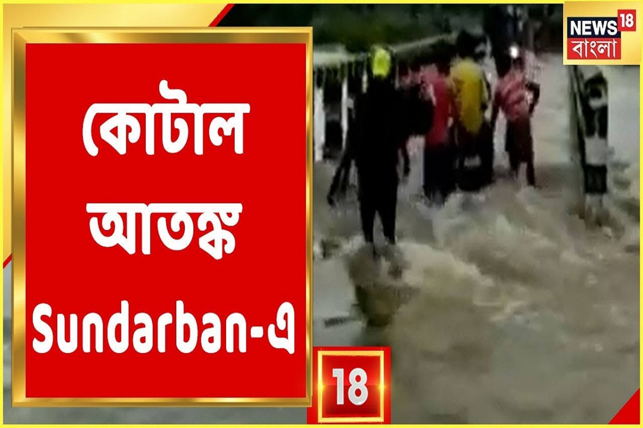 Video: আগামী ২৪ ঘণ্টাতেও বৃষ্টির পূর্বাভাস, কোটাল আতঙ্ক Sundarban-এ