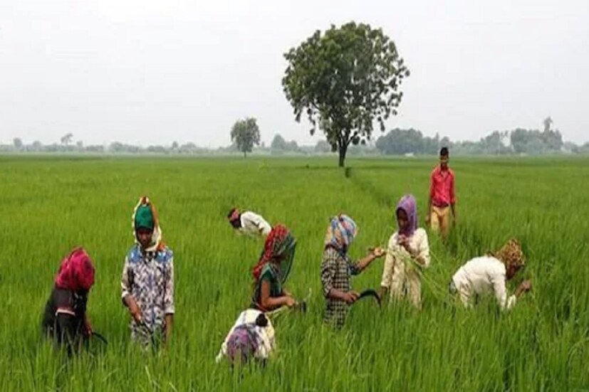 PM Kisan FPO Yojana-র লাভ নেওয়ার জন্য বর্তমানে কৃষকদের একটু অপেক্ষা করতে হবে ৷ সরকারের তরফে এখনও এই যোজনার জন্য রেজিস্ট্রেশন প্রক্রিয়া শুরু করা হয়নি ৷ তবে শীঘ্রই রেজিস্ট্রেশন শুরু হতে চলেছে বলে জানা গিয়েছে ৷ রেজিস্ট্রেশন শুরু হয়ে গেলে আপনিও আবেদন জানাতে পারবেন ৷ মিডিয়া রিপোর্টস অনুযায়ী সরকার এর জন্য শীঘ্রই নোটিফিকেশন জারি করতে চলেছে ৷ 