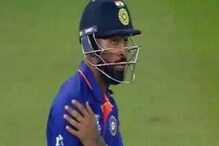 স্ক্যান রিপোর্ট এল হার্দিকের, নিউজিল্যান্ডের বিরুদ্ধে কি খেলতে পারবেন ? স্ক্যান রিপোর্ট এল হার্দিকের, নিউজিল্যান্ডের বিরুদ্ধে কি খেলতে পারবেন ?