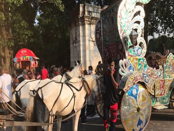 কলকাতায় এভাবেই ছুটছে ঘোড়ার গাড়ি।
