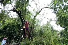 মাত্র কয়েক মিনিটের ঘূর্ণিঝড়, লণ্ডভণ্ড আরামবাগের এই এলাকা মাত্র কয়েক মিনিটের ঘূর্ণিঝড়, লণ্ডভণ্ড আরামবাগের এই এলাকা