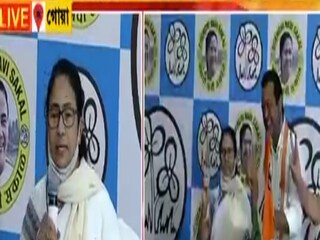 তৃণমূলে লিয়েন্ডার পেজ