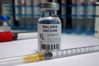 more than 30 years in the making how malaria vaccine - Photo-AP 