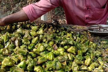হৃদরোগ, ক্যানসার থেকে সুরক্ষা, পানিফল থেকে তৈরি আটাও স্বাস্থ্যগুণে ভরপুর হৃদরোগ, ক্যানসার থেকে সুরক্ষা, পানিফল থেকে তৈরি আটাও স্বাস্থ্যগুণে ভরপুর