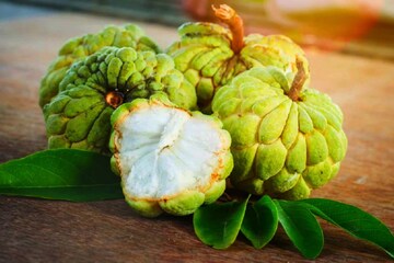 ডায়েটে রাখুন মরসুমি ফল আতা, দূরে থাকুন একাধিক জটিল সমস্যা থেকে