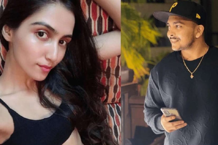 টিভি সিরিয়ালের অভিনেত্রী প্রাচী সিং (Prachi Singh)-এর সঙ্গে পৃথ্বী শ-য়ের সম্পর্কের কানাঘুঁষো শোনা যায়। দুজনের ইনস্টাগ্রাম প্রোফাইল এই সম্পর্কের সত্যতা নিয়ে ইঙ্গিত দেয়। তবে দুজনের কেউই মুখ খোলেন না এই নিয়ে।