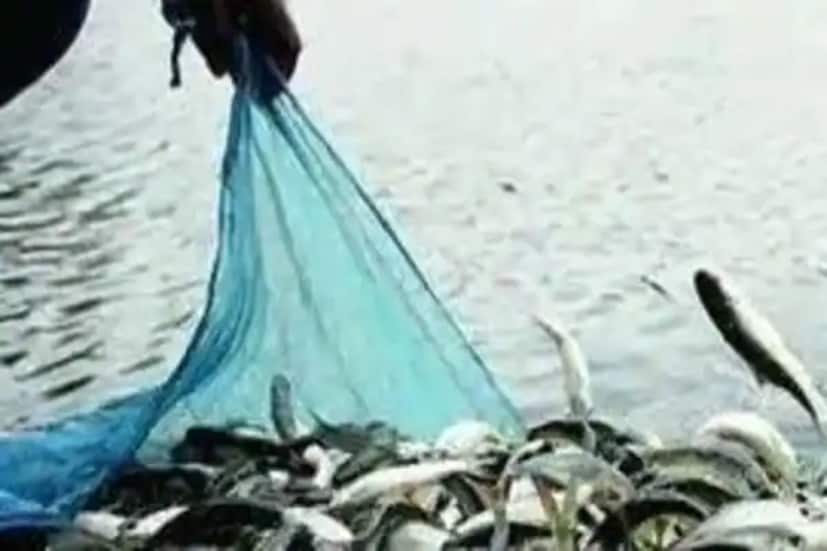 গায়ে মাছের মতো শরীর হলেও সবমিলিয়ে আশ্চর্যজনক দেখতে প্রাণীটি। আর এমনই এক প্রাণীকে দেখে চোখ কপালে এলাকার মানুষের। এটাই এখন সাধারণ মানুষের মধ্যে আলোচনার বিষয় হয়ে দাঁড়িয়েছে।