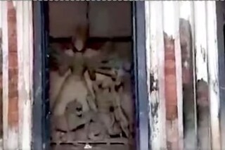 একসময়ে পুতুলনাচ, নহবতে মাতত পালেদের দুর্গোৎসব! এখন মলিন এই প্রাচীন পুজো