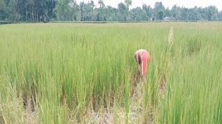 ভয়ঙ্কর ঘটনা (প্রতীকী ছবি)