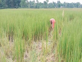 ভয়ঙ্কর ঘটনা (প্রতীকী ছবি)