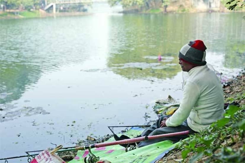 রাতভর চেষ্টা করেও মাছটি নদীর পাড়ে তুলতে পারেননি ওই মাছ শিকারি। অবশেষে ডুবুরি দল এসে পাড়ে তুলতে সক্ষম হয়েছে মাছটি! অনেকেরই ধারণা ছিল, মাছটি অন্তত ২০০ কেজি ওজনের হবে। (প্রতীকী চিত্র)