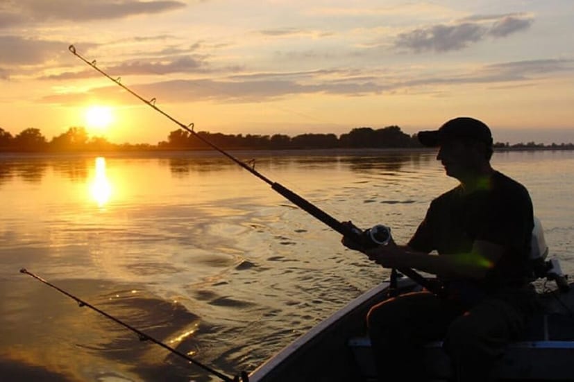 কিন্তু বাস্তবে দেখা গেল, ওই বড়শিতে গেঁথেছে মাত্র ৬০০ গ্রামের একটি পাগলা মাছ। যদিও তার আগে গোটা এলাকায় ছড়িয়ে পড়ে, ২০০ কেজি ওজনের মাছ ধরা পড়েছে ছিপে। সেই কারণেই দলে দলে লোক ছুটে আসেন সেই মাছ দেখতে। (প্রতীকী চিত্র)