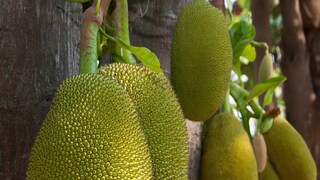 Representative Image Representative Image