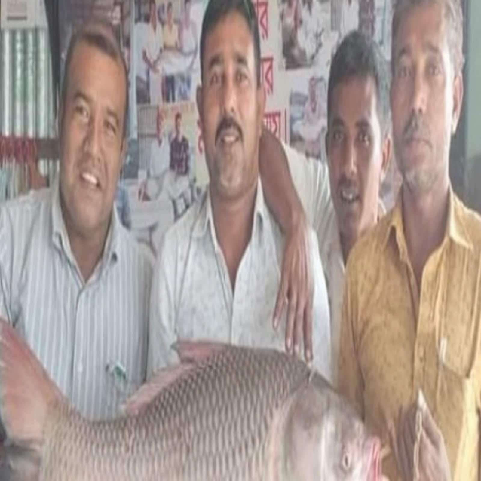 এই সেই কাতলা মাছ