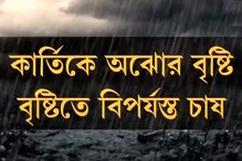āĻāĻžāϰā§āϤāĻŋāĻā§ āĻ
āĻā§āϰ⧠āĻŦā§āώā§āĻāĻŋ! āĻŽāĻžāĻ ā§āĻ āύāώā§āĻ āĻĢāϏāϞ, āĻŽāĻžāĻĨāĻžāϝāĻŧ āĻšāĻžāϤ āĻā§āώāĻāĻĻā§āϰ āĻāĻžāϰā§āϤāĻŋāĻā§ āĻ
āĻā§āϰ⧠āĻŦā§āώā§āĻāĻŋ! āĻŽāĻžāĻ ā§āĻ āύāώā§āĻ āĻĢāϏāϞ, āĻŽāĻžāĻĨāĻžāϝāĻŧ āĻšāĻžāϤ āĻā§āώāĻāĻĻā§āϰ