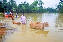 Kerala Rain Situation: এখনও পর্যন্ত মৃত ৬, ভেসে গেল আস্ত বাস! বড় বিপর্যয়ের মুখে কেরল Kerala Rain Situation: এখনও পর্যন্ত মৃত ৬, ভেসে গেল আস্ত বাস! বড় বিপর্যয়ের মুখে কেরল