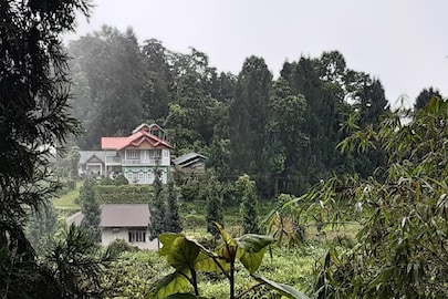 সবুজ চা বাগান-পাহাড়ি গ্রাম-রঙিন পাখিদের কলতান, পুজোটা এবার এখানে কাটান! বিশদে জানুন