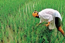 প্রধানমন্ত্রীর অভিনব উদ্যোগ, জলবায়ু স্থিতিস্থাপক ফসল কেন এদেশে গুরুত্বপূর্ণ? প্রধানমন্ত্রীর অভিনব উদ্যোগ, জলবায়ু স্থিতিস্থাপক ফসল কেন এদেশে গুরুত্বপূর্ণ?
