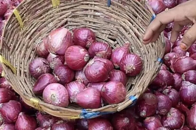 চুলের বৃদ্ধি: পেঁয়াজের খোসা আপনার চুলের বৃদ্ধিতে সাহায্য করতে পারে। জলে এই খোসা সেদ্ধ করে সিদ্ধ সেই জল দিয়ে চুল ধুয়ে ফেললে এতে চুল দ্রুত বেড়ে ওঠে এবং মাথার খুশকির সমস্যাও দূর হয়। আসলে পেঁয়াজ এবং এর খোসায় প্রচুর পরিমাণে সালফার পাওয়া যায়, যা চুলের বৃদ্ধি বাড়াতে সহায়ক। তাছাড়া এই জলের নিয়মিত ব্যবহারে চুল কালো ও ঘন হয়।