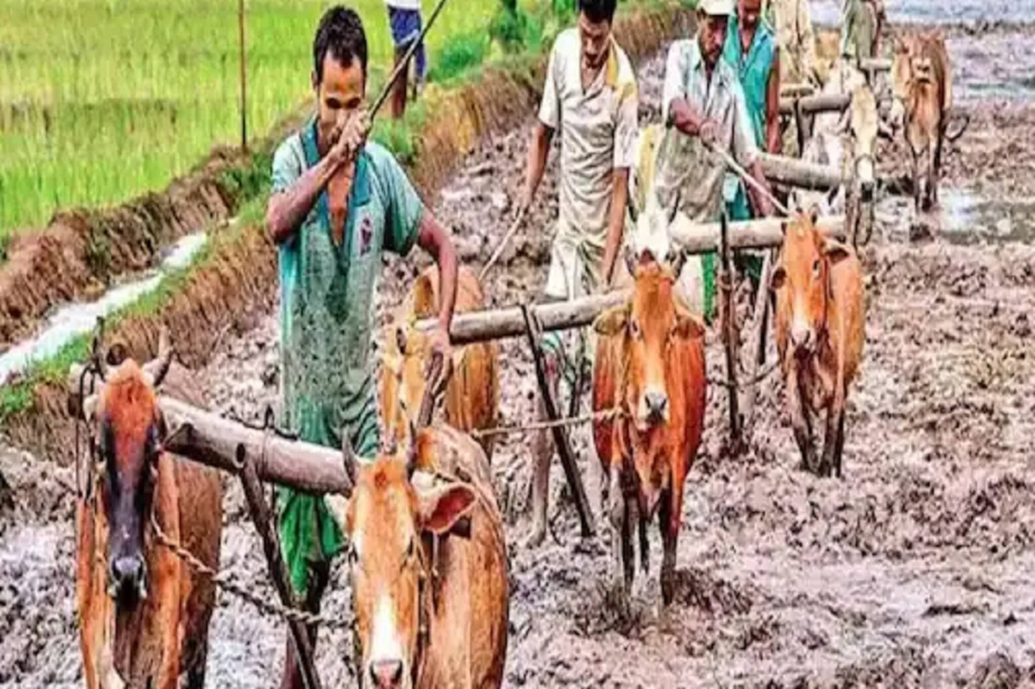 কৃষকদের অ্যাকাউন্টে ২০০০ এর বদলে আসতে পারে ৪০০০ টাকা! কারা পাবেন না এই সুবিধা