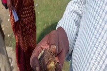 খেয়েই মৃত্যু একজনের? পুরুলিয়ার এই বিষাক্ত ফল নিয়ে ছড়াচ্ছে প্রবল আতঙ্ক! খেয়েই মৃত্যু একজনের? পুরুলিয়ার এই বিষাক্ত ফল নিয়ে ছড়াচ্ছে প্রবল আতঙ্ক!