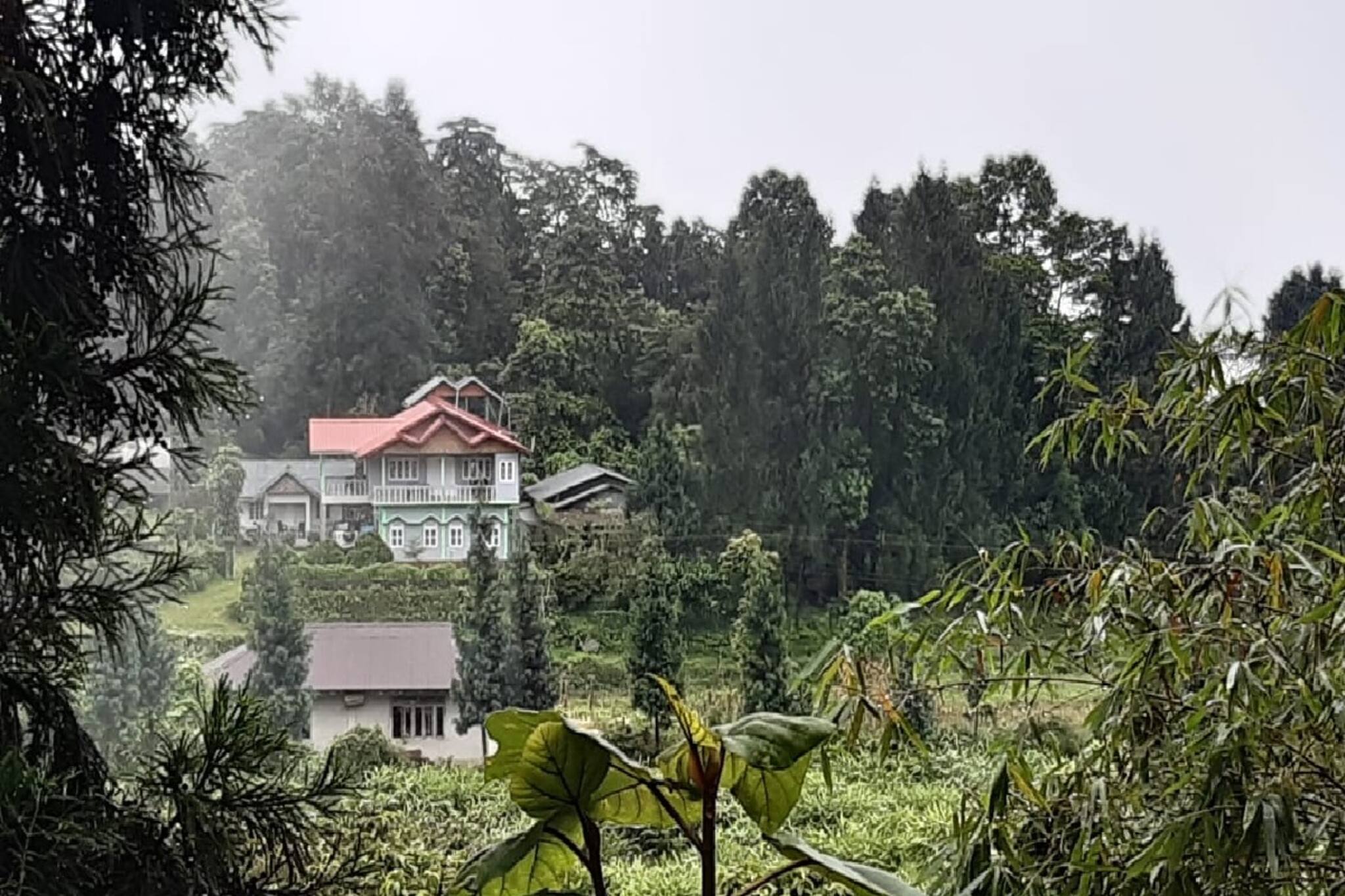 প্রকৃতি-পাহাড়ের সরলতা মুগ্ধ করবে আপনাকে, পুজোর ছুটি কাটিয়ে আসুন সামসিংয়ে