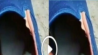 জুতোর মধ্যেই লুকিয়ে বিষধর সাপ