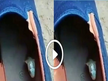 জুতোর মধ্যেই লুকিয়ে বিষধর সাপ